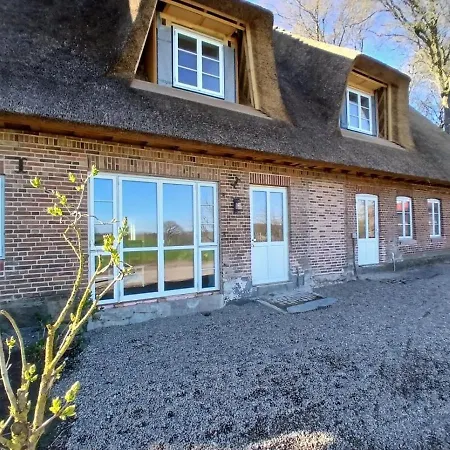 Reetdachhaus Der Familie Sommer Scheggerott